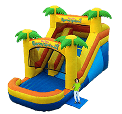 2 IN 1 SONIC THE HEDGEHOG BOUNCE HOUSE Party Inflatable - Bounce